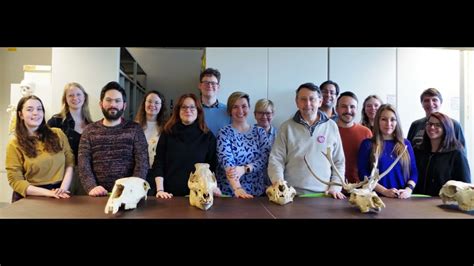 chloe stringer|Chloe Stringer and her experience (MSc Osteoarchaeology, .